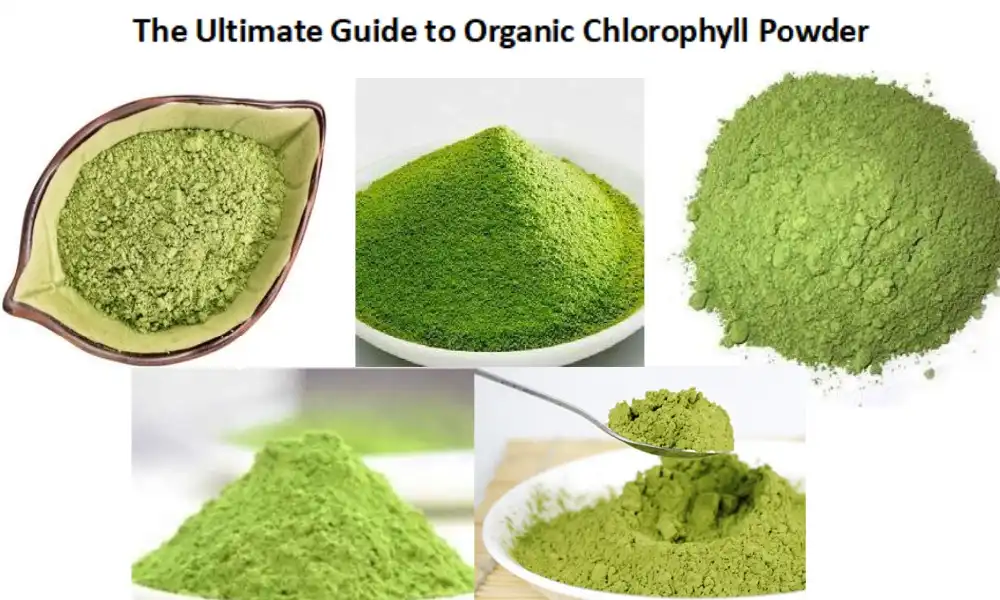 The Ultimate Guide to Organic Chlorophyll Powder